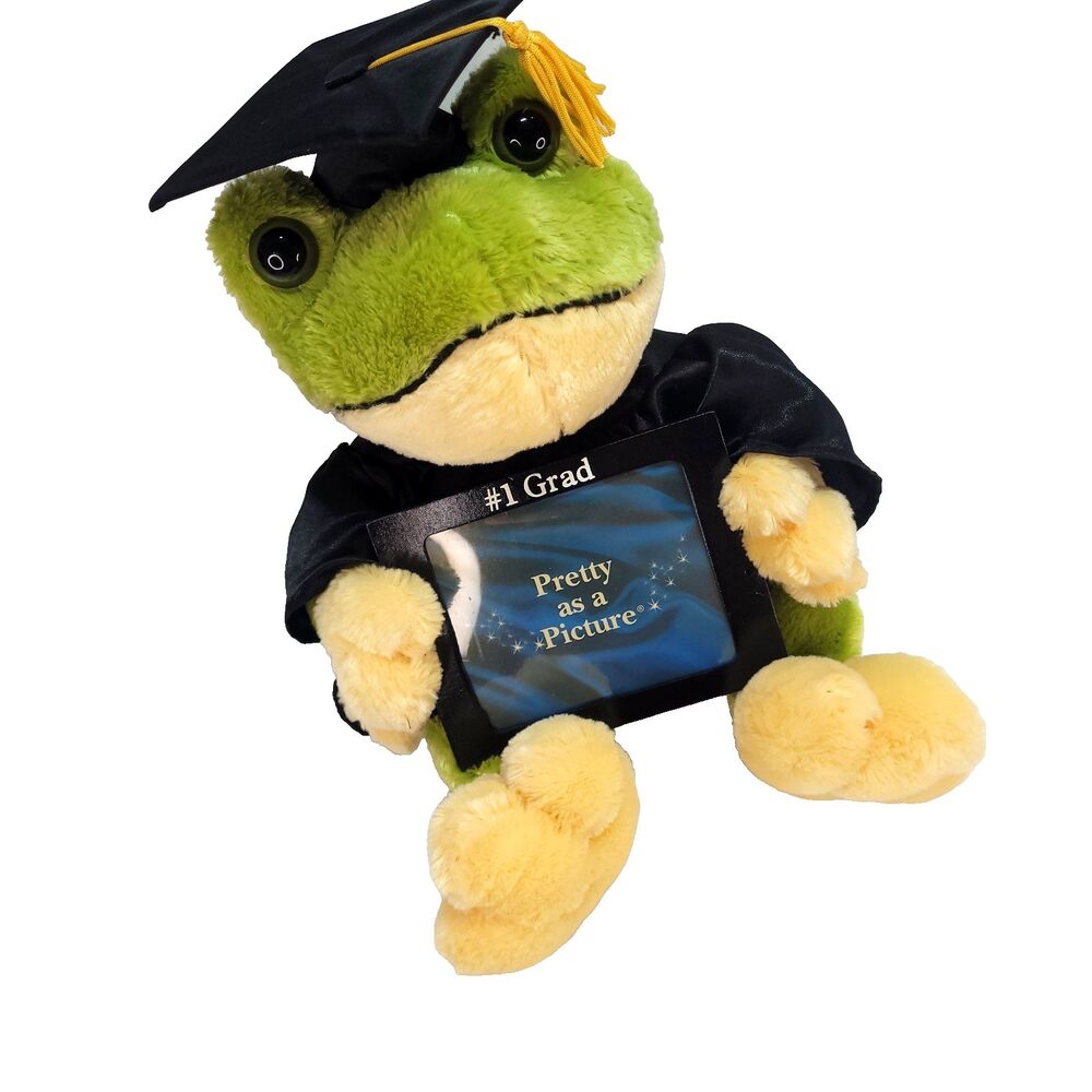 Graduation Frog Plush Picture Frame 13" Dan Dee #1 Grad Graduate Cap & Gown